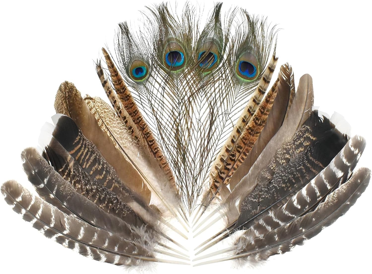 MARRTEUM 5 Style 10-12 Inch Natural Feathers, 20 Pcs Large Assorted Mixed Spotted Pheasant Peacock Turkey Feathers Decorative Bulk for DIY Crafts, Vase, Hat, Clothing, Wedding, Home, Party Decoration