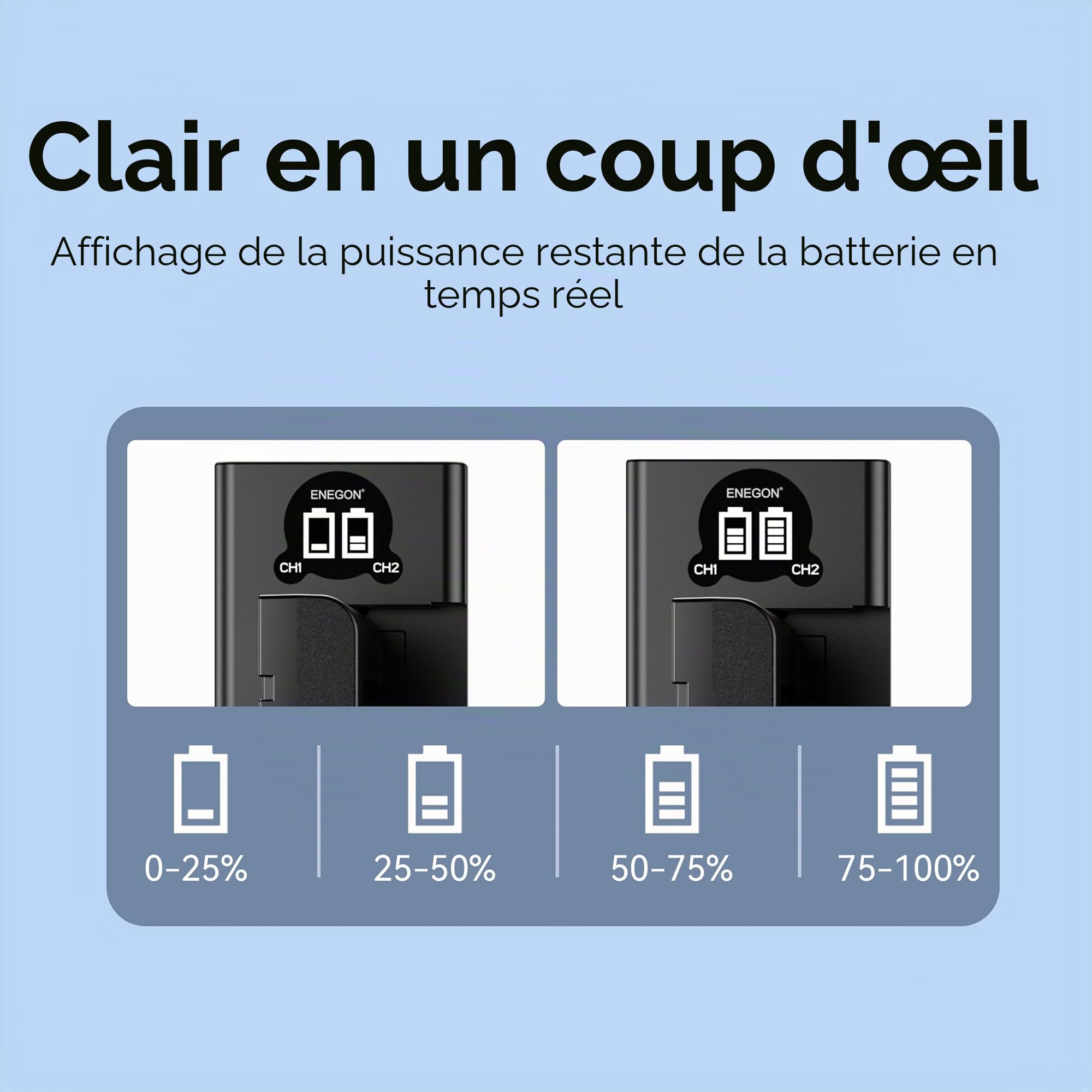 ENEGON NP-F550 Chargeur de Batterie Kit 2X 2900mAh Batterie de Remplacement LCD Type-C Câble USB Chargeur pour NP-F980 NP-F970 NP-F960 NP-F950 NP-F930 NP-F770 NP-F750 NP-F570 NP-F550