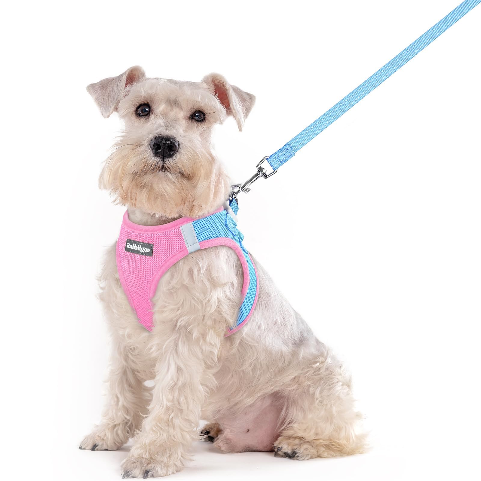 rabbitgoo Dog Harness Medium Sized and Leash Set, Step-in Puppy Pet Vest
