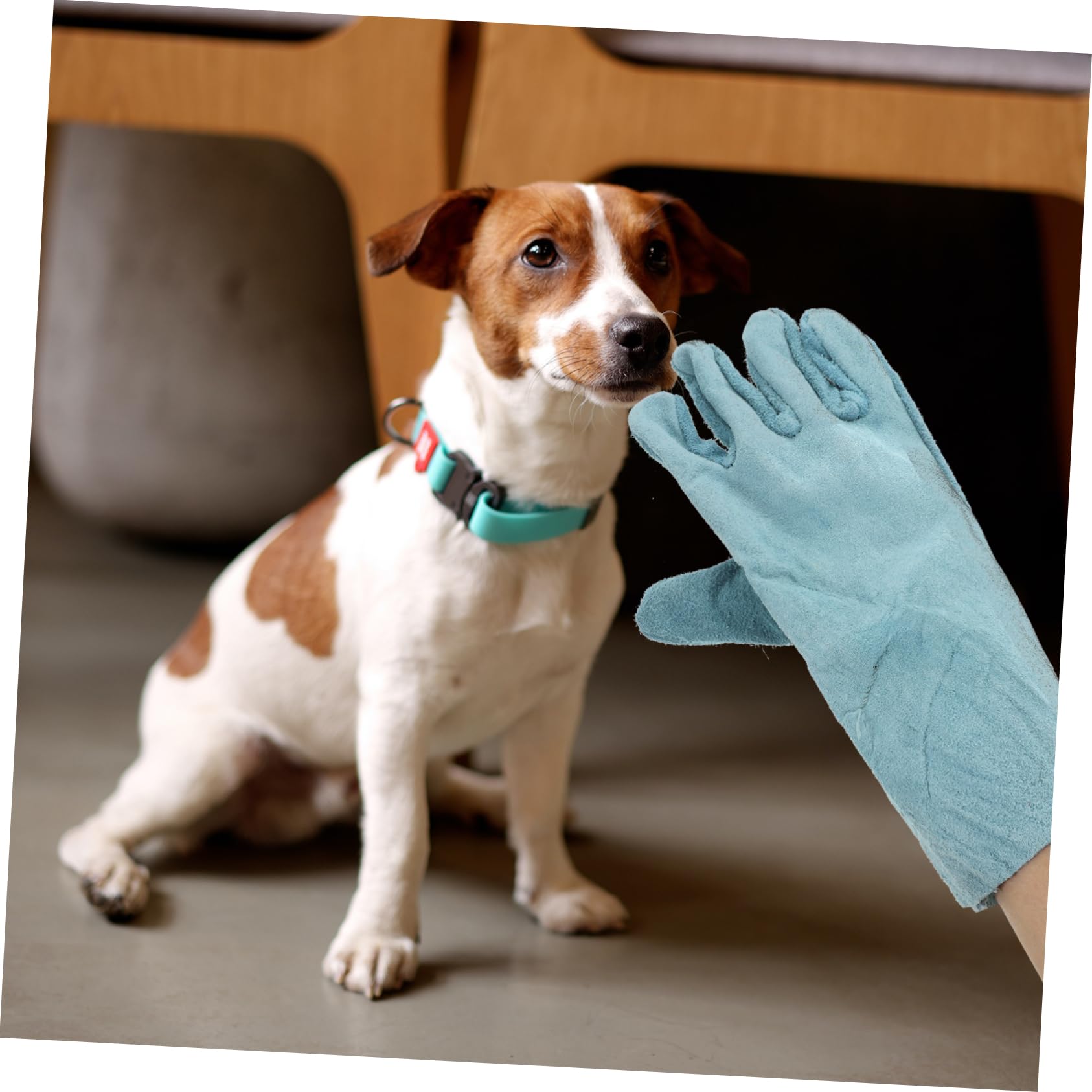 COSMEVIVI Bite Gloves for Dogs Pet Gloves Protective Gloves for Pet Dog Sturdy Comfortable