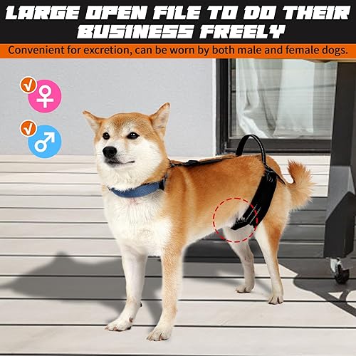 Miniatura 3 de ROZKITCH Arnés de apoyo para perros para mascotas, arnés de elevación trasera para patas traseras, arnés reflectante para perros, aprobado por