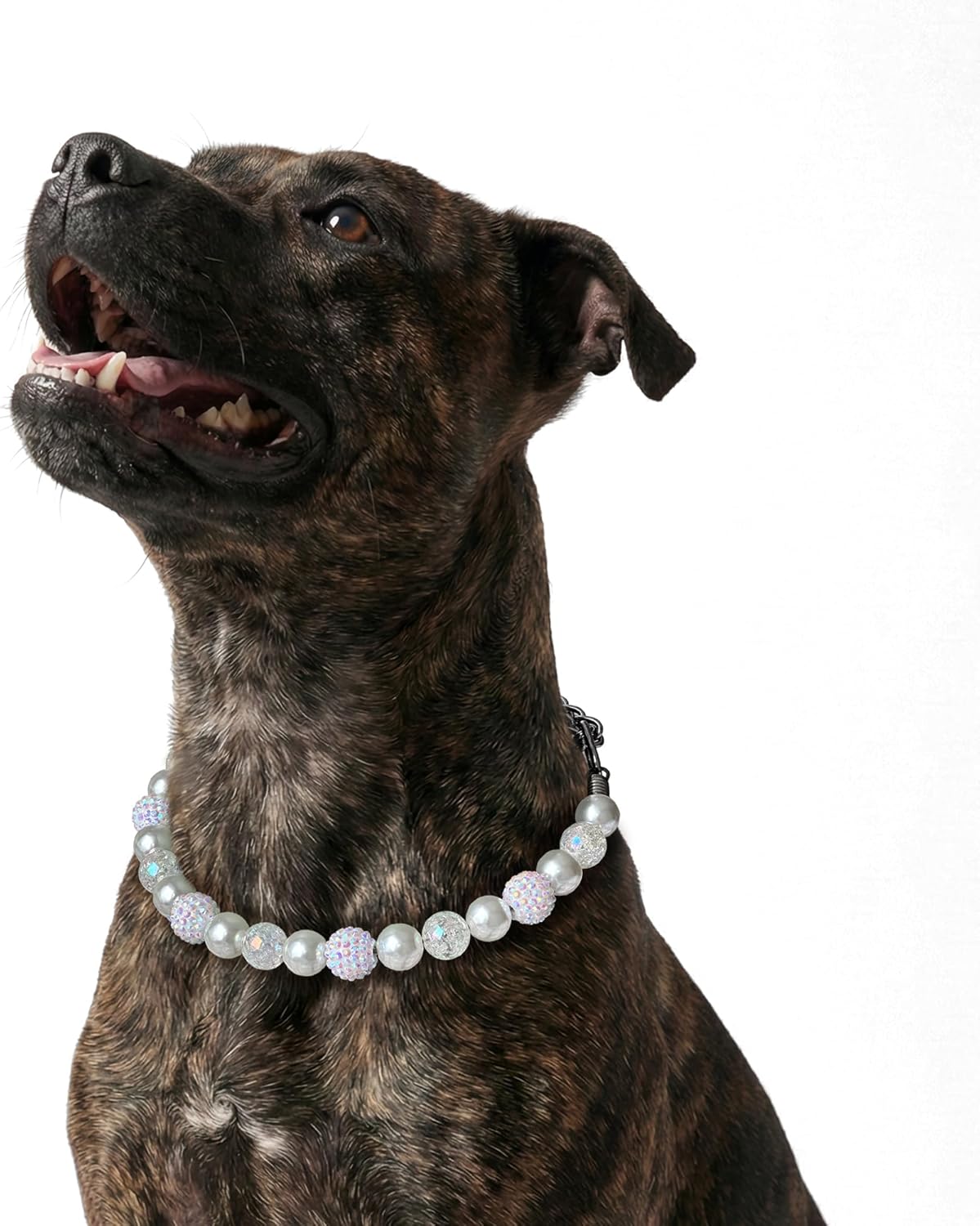 Pearl Dog Collar with AB Sparkle Beads – White Pearl Necklace for Dogs, Elegant Decorative Jewelry for Weddings and Portraits (White, Extra Large)