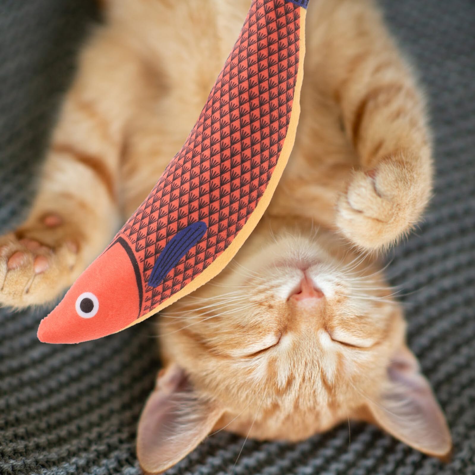 POPETPOP Jouet Chat Peluche Poisson Interactif Herbe à Chat Intégrée