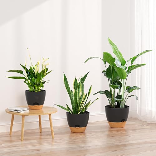 Miniatura 6 de ZMTECH Macetas de riego automático de 8910 pulgadas con borde de riego, macetas con agujeros de drenaje y platillo extraíble, macetas de plástico