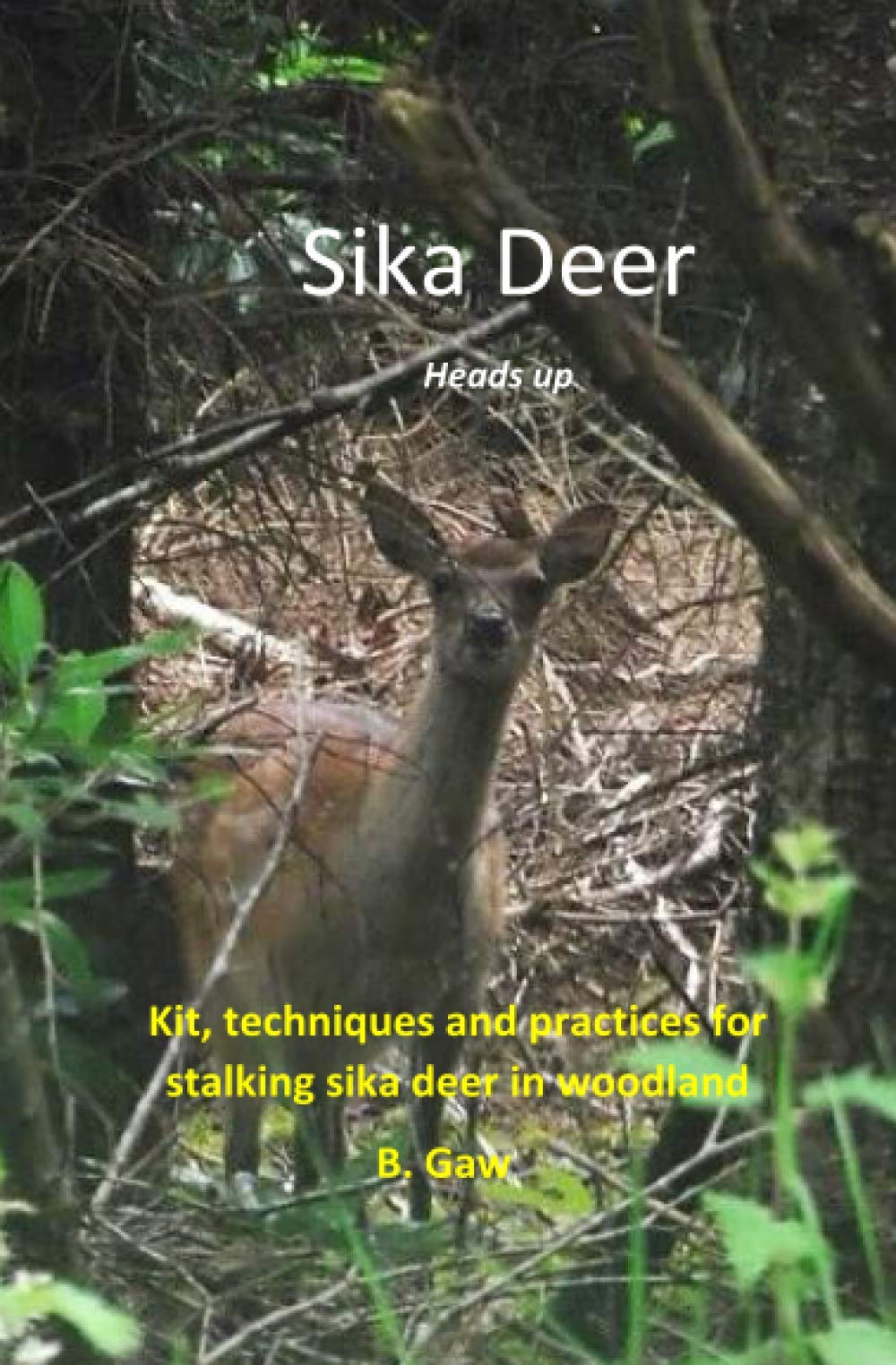 Sika Deer Heads Up: Kit, techniques and practices for stalking sika in woodland