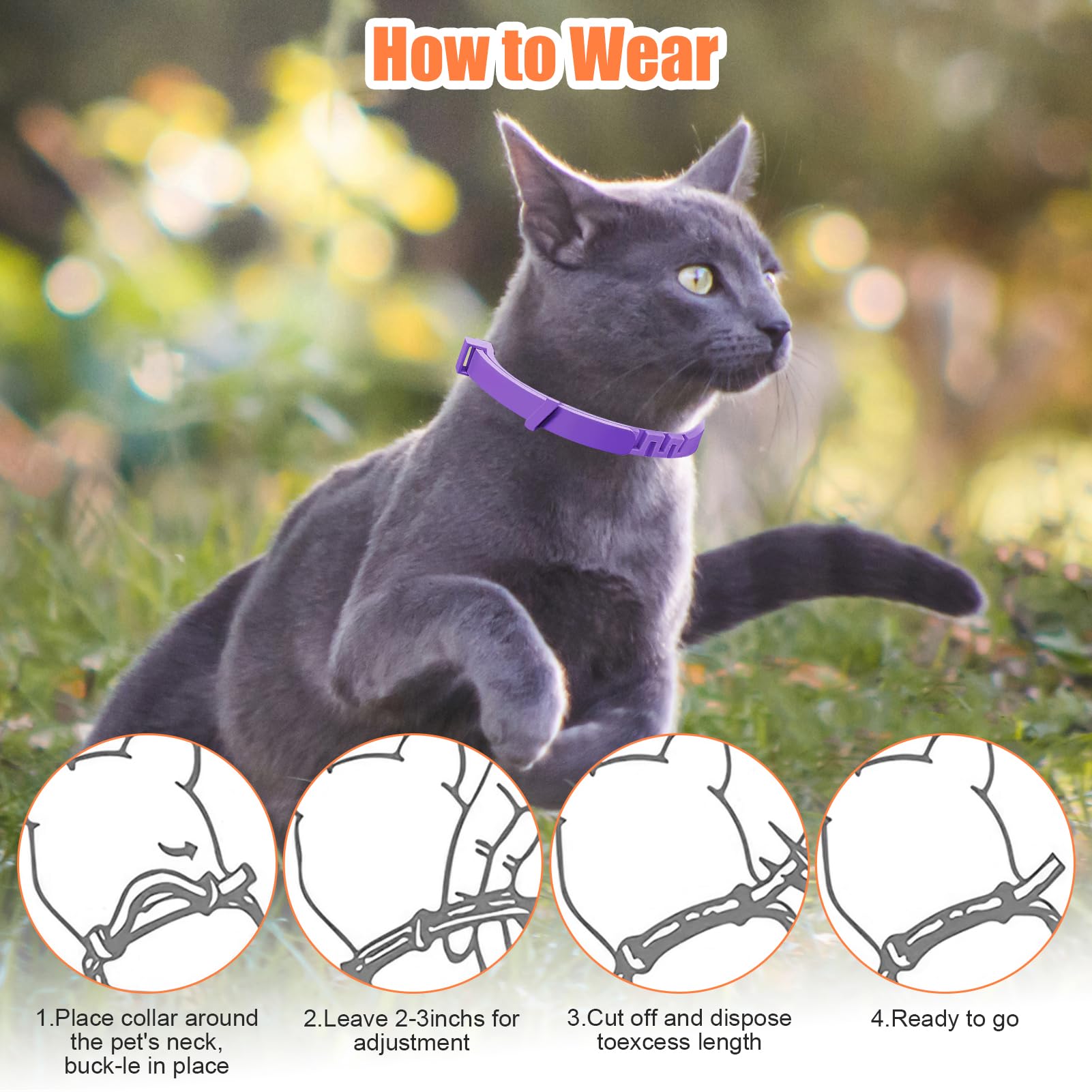 Collar calmante para gatos de 4 piezas, antiestrés natural con feromonas, color púrpura, talla ajustable y efecto 30 días, para gatitos y gatos adultos