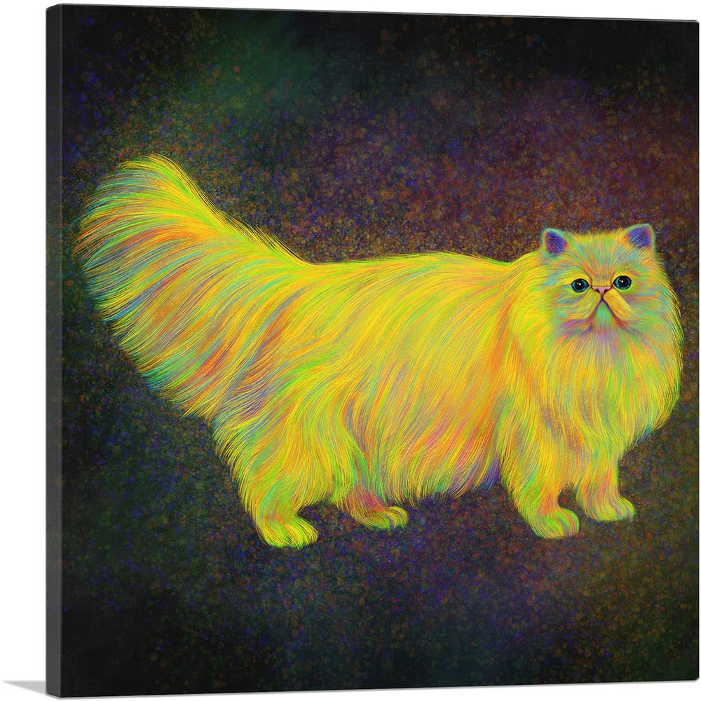 ARTCANVAS Himalayan Colourpoint Persian Cat on Black Canvas Art Print Stretched Framed Painting Picture Poster Giclee Wall Decor - 36" x 36" (1.50" Deep)