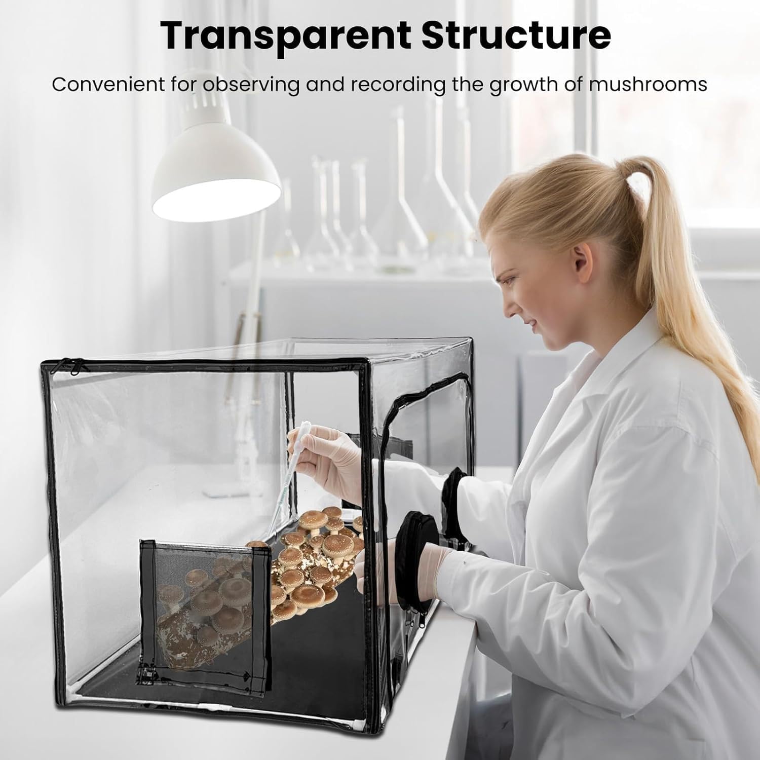 Kit de culture de champignons avec boîte à air fixe et hotte à flux laminaire pour fournitures et substrats de mycologie