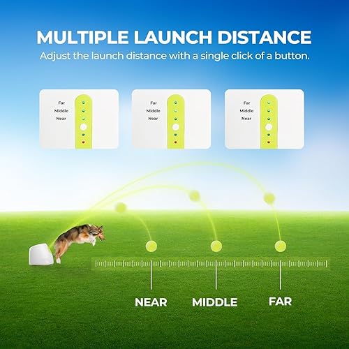 Miniatura 2 de ALL FOR PAWS Lanzador automático de bolas para perros, máquina interactiva para cachorros, bolas para mascotas, para exteriores, 6 bolas incluidas