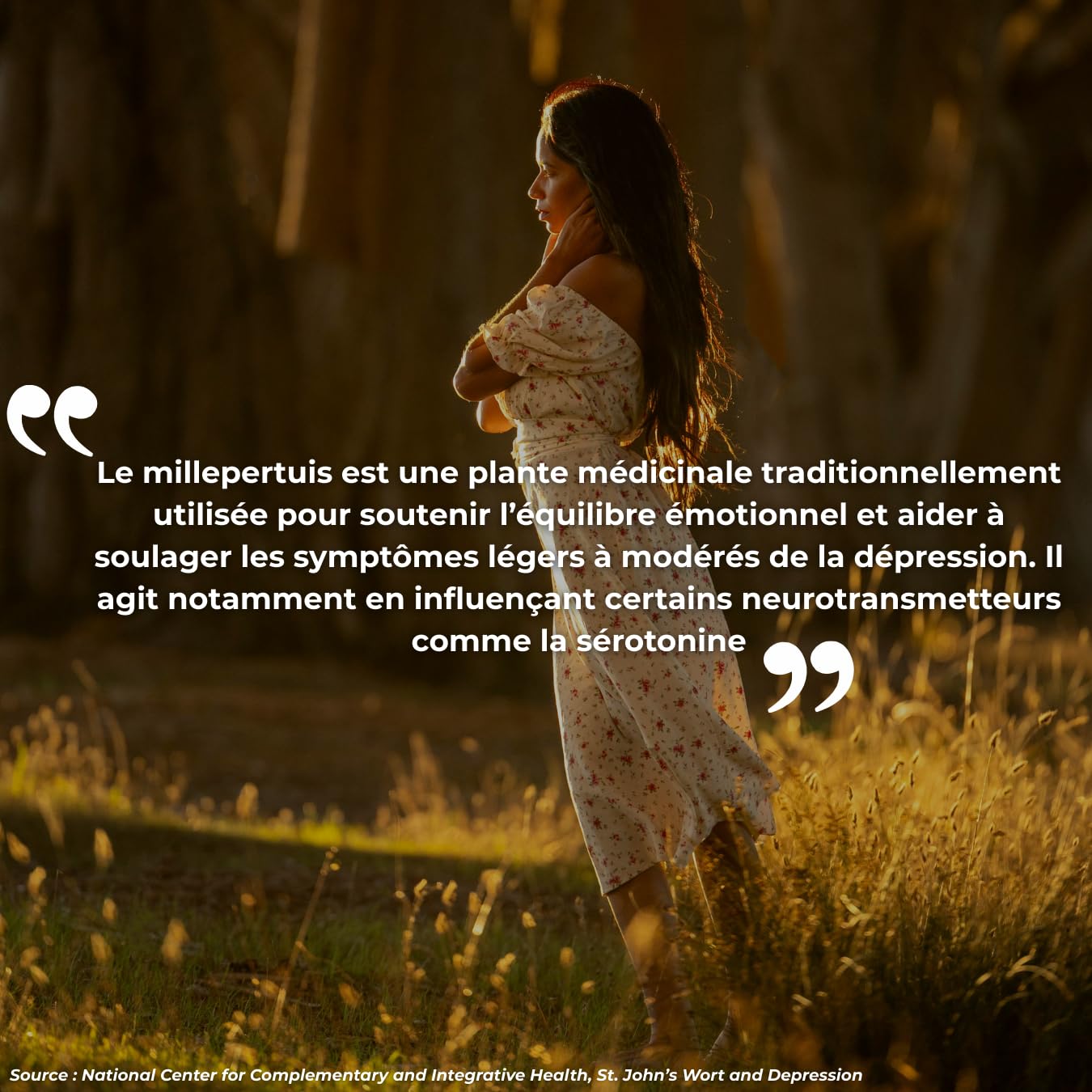 Millepertuis - Extrait Concentré Biodisponible - 500mg