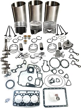 D722 Overhaul Rebuild Kit&Crankshaft&Con Rod&Water pump&Oil Pump Compatible with Kubota TG1860-54 Tractor G1900 GF1800E Tractor