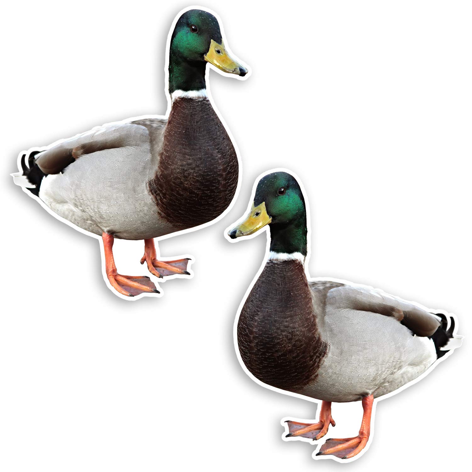 Destination Vinyl Ltd Multi 2 X 10Cm Cute Mallard Duck Vinyl Stickers - Wildlife Kids Sticker #34898