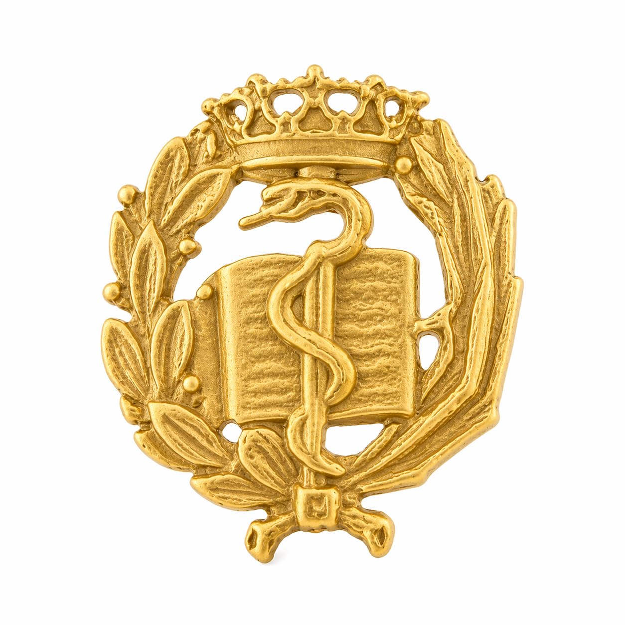 Insignia Profesional de Medicina Pin para Hombre Mujer en Plata 925 Chapado en Oro con Caja para Regalo