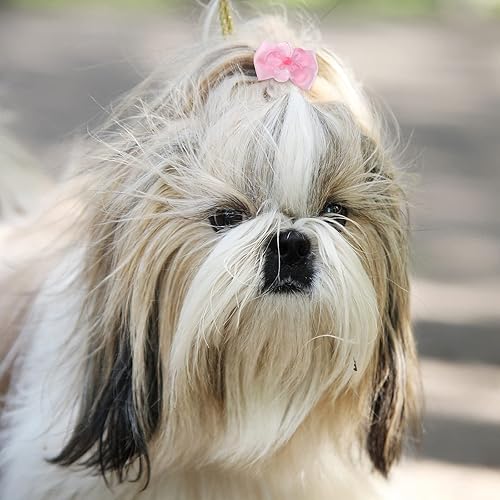 Miniatura 5 de Yunsailing 100 unidades/50 pares de bonitos lazos para el pelo de perro con bandas de goma, pinzas para el pelo de cachorros, accesorios de aseo