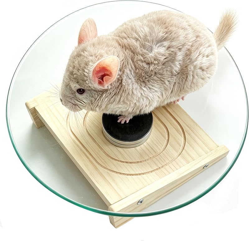 11" Silent Chinchilla Wheel Glass Chinchillas Exercise Wheel(11inch) | Smooth Chinchilla running wheel Chew-Proof small animal wheel for Syrian hamsters,hedgehog,Rats & Small Pets,Easy to Clean