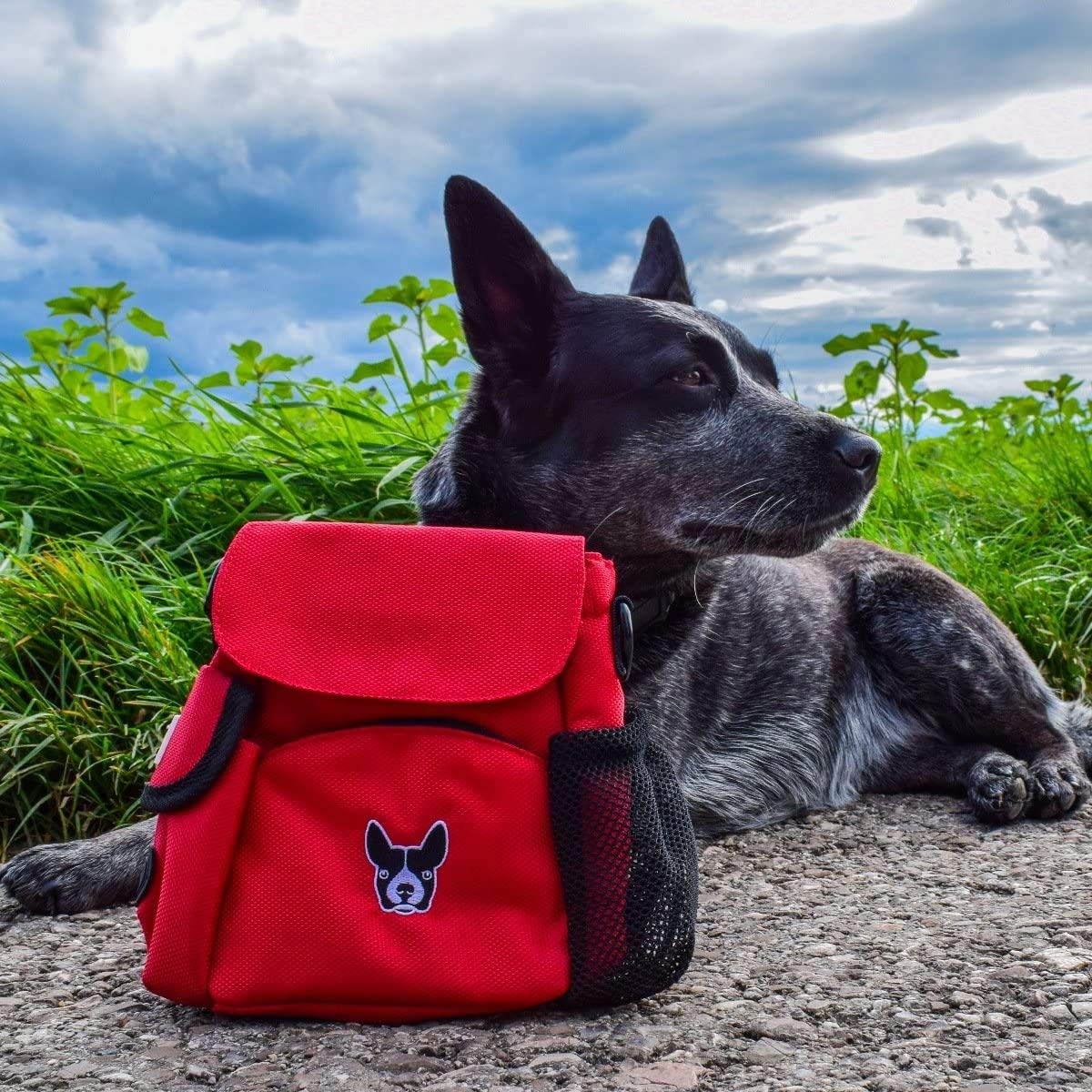 Borsetta portasnack | Dog Treat Bag | Sacchetto di Addestramento del Cane