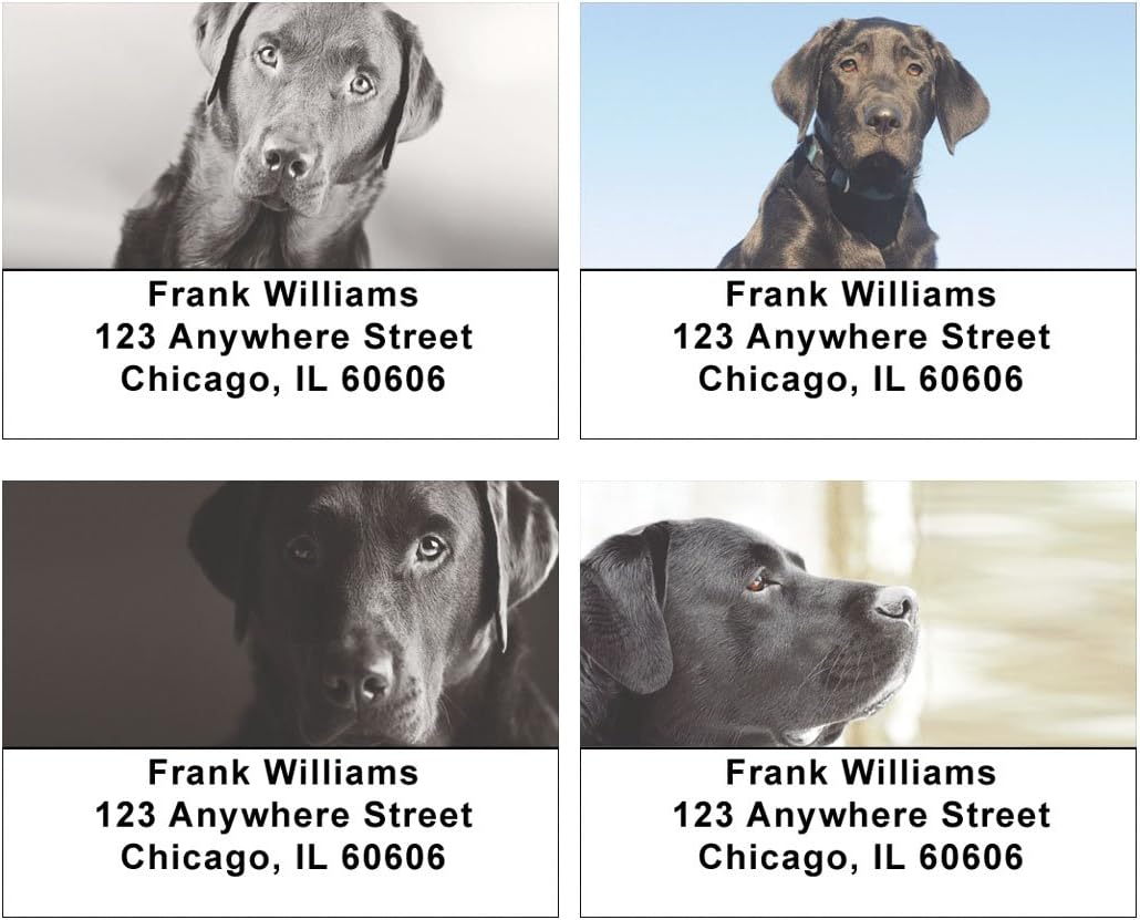 Black Labs Address Labels