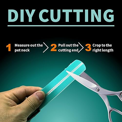 Miniatura 5 de Collares de perro con luz LED, collar de perro con luz LED, collar de perro brillante recargable por USB con impermeable, collar de seguridad