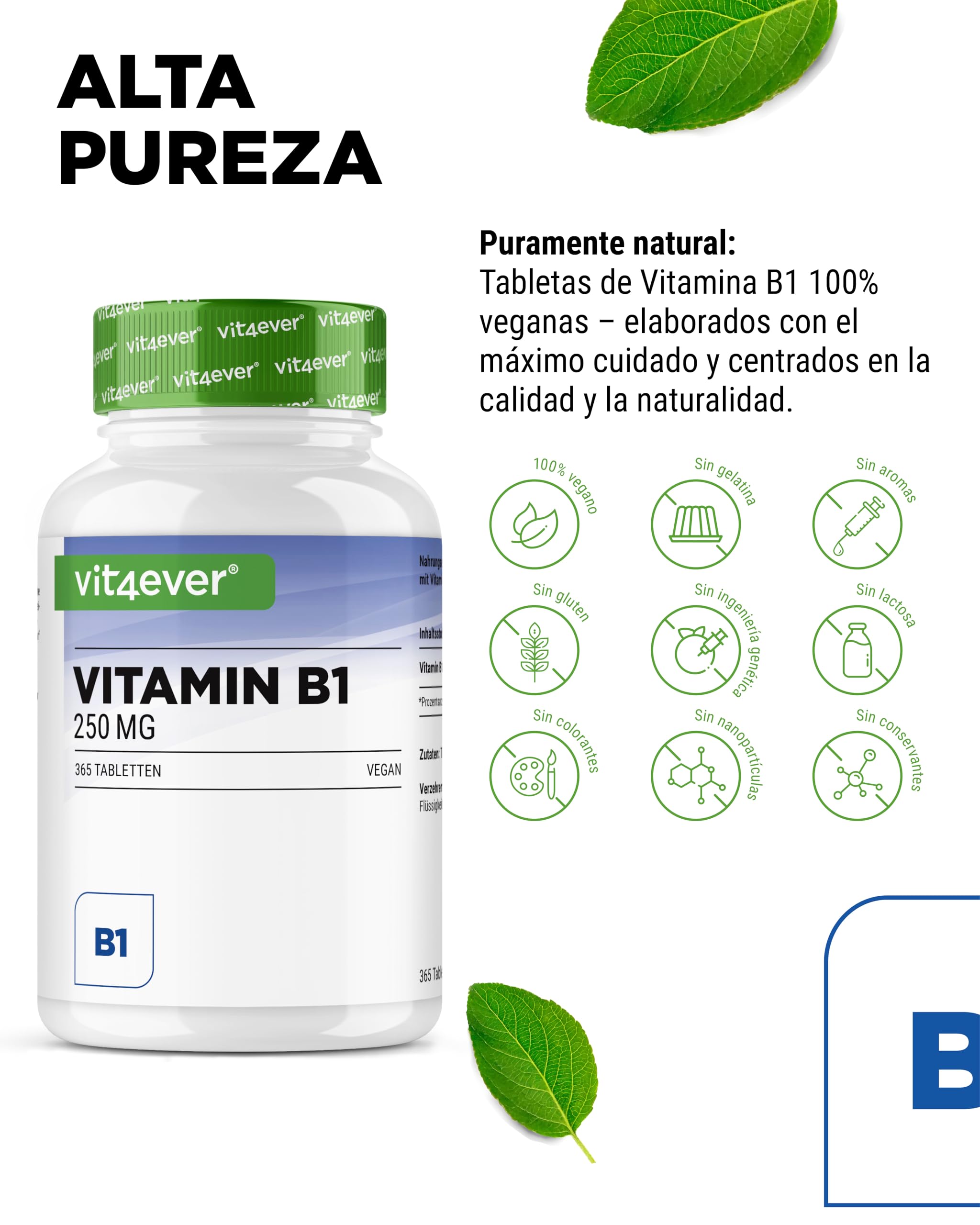 Vitamina B1 (Tiamina) - 250 mg - 365 Comprimidos - Premium: Clorhidrato de Tiamina - Alta biodisponibilidad - Suministro para 12 meses - Sin aditivos no deseados - Vegano