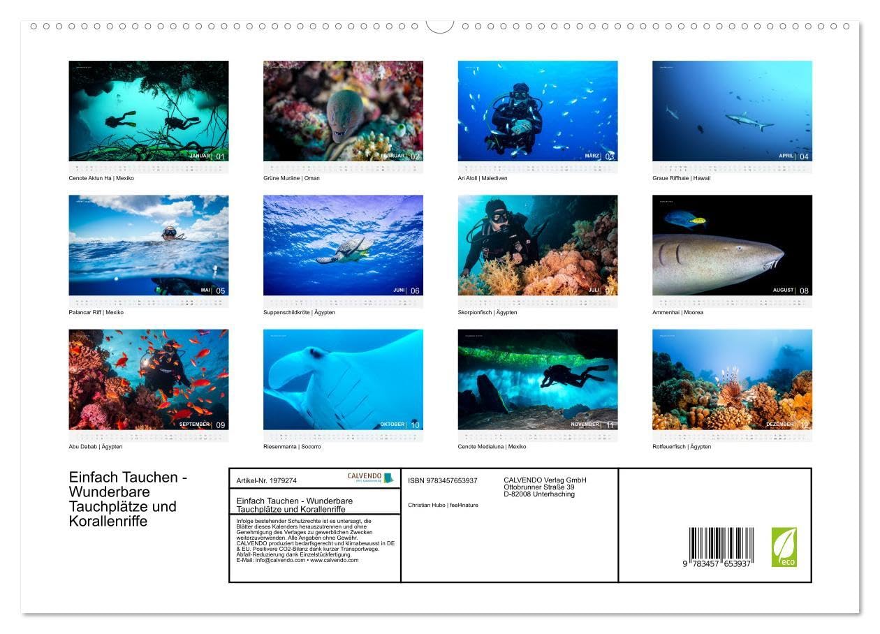 Einfach Tauchen - Wunderbare Tauchplätze und Korallenriffe (hochwertiger Premium Wandkalender 2026 DIN A2 quer), Kunstdruck in Hochglanz: Farbenfrohe ... der beliebtesten Reisezielen für Taucher.