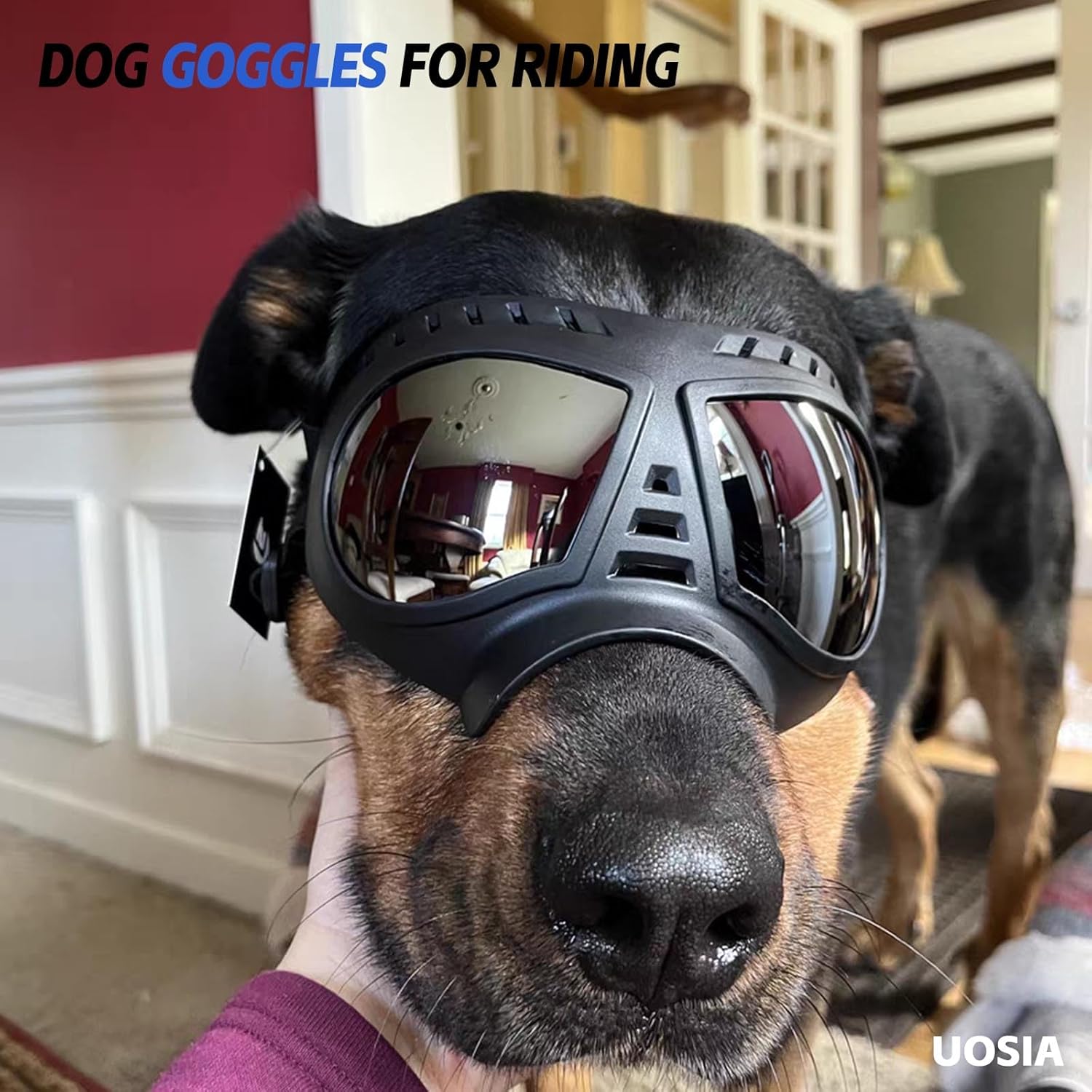 Dog Helmet and Dog Goggles for Large Dogs Pet Motorcycle Helmet Hat with Ear Holes Adjustable Dog Sunglasses Lightweight Dog Glasses for Pet Outdoor Driving Riding