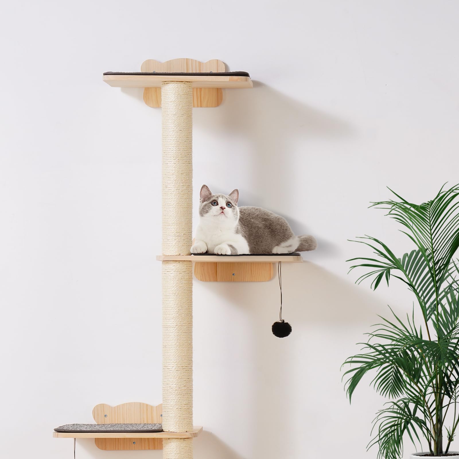 VEVOR Albero per Gatti a 4 Livelli, Set di Mobili da Parete per Gatti 35 x 27 cm con 4 Assi per Saltare, Trespolo per Gatti in Legno di Pino 12 mm Fino a 18,14 kg per Dormire, Giocare, Arrampicarsi