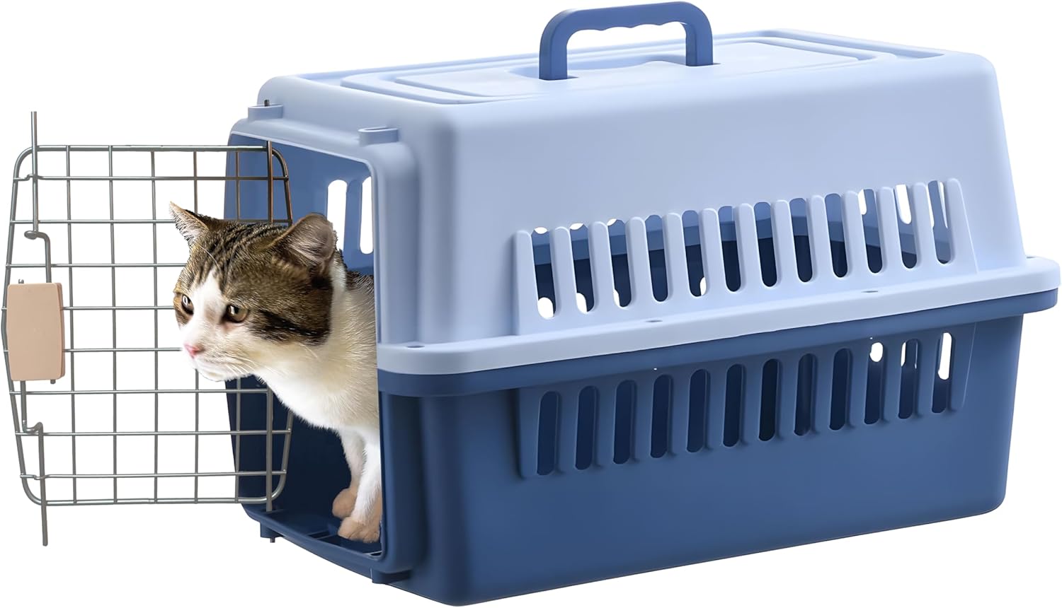 LLGJ-Pets Carrier, Kennel, 23 In. Long, Hard-Sided, for Dog/Cat up to 20 lbs, Suit for Airline/Road Travel (Blue)