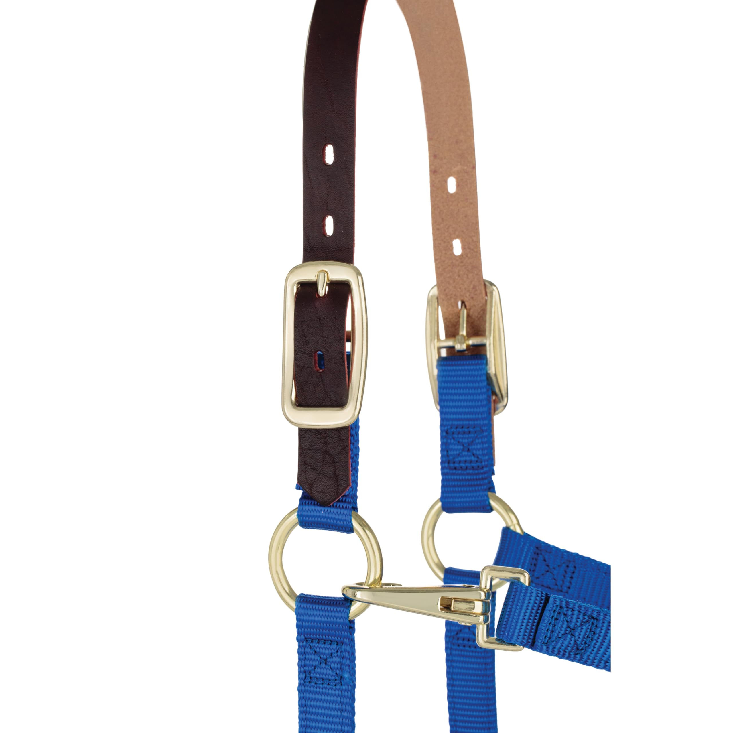 Weaver Leather, Cavezza Regolabile in Nylon per Cavallo, Blu, per svezzamento/Pony