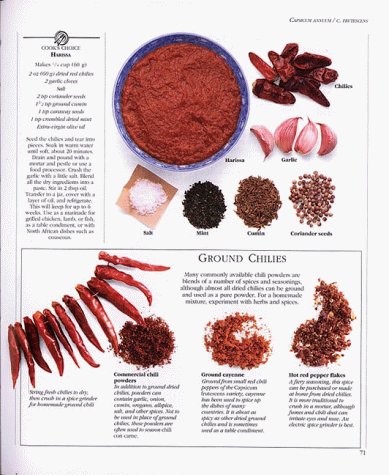 The Encyclopedia of Herbs, Spices, & Flavorings/a Cook's Compendium