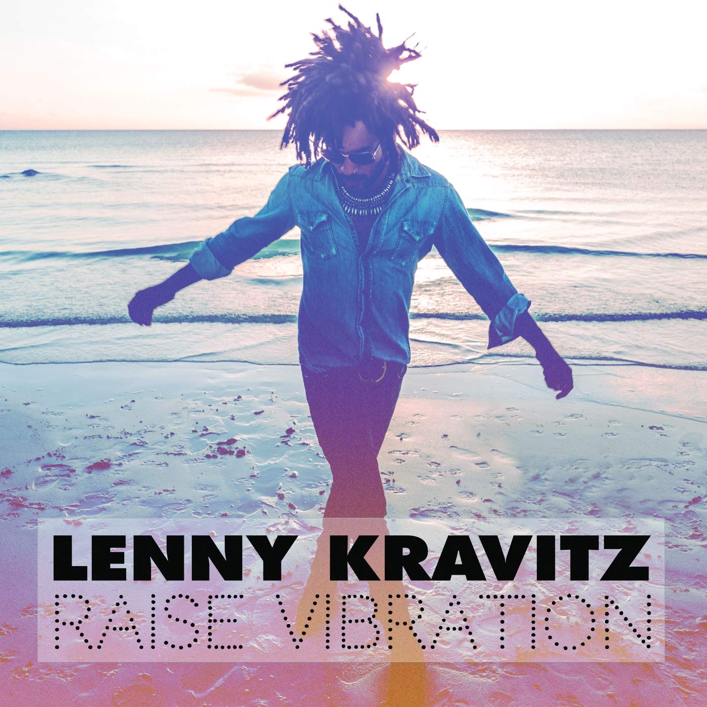 Amazon.co.jp: RAISE VIBRATION: ミュージック