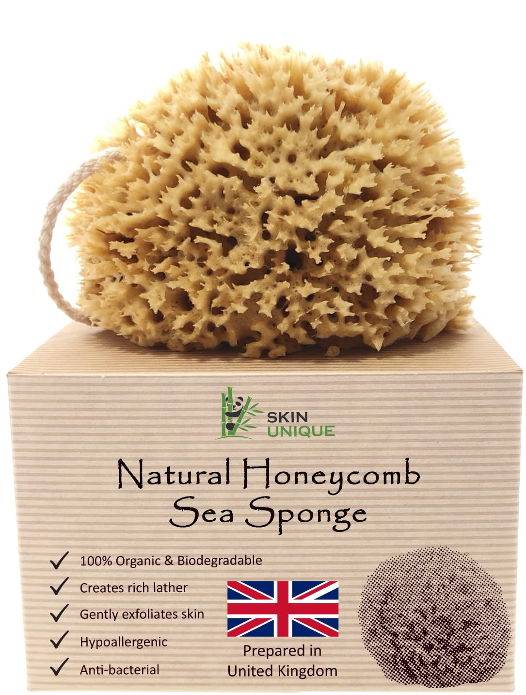Skin Unique Mediterranean Natural Sea Sponge in Gift Box - Unbleached Honeycomb, Strong, Durable - 100% Organic, Hypoallergenic - Children and Adults - Bath, Exfoliating, Cleansing, Pets (Small)