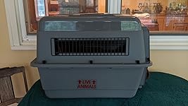 Review Image by Precise Disarray Precise Disarray