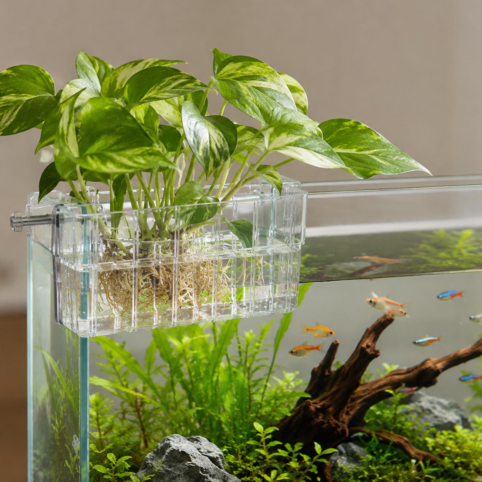 YAYODS 5 Stück Aquarium Pflanzenhalter Transparent - 4 Einzelkörbe + 1 Mehrkammerkorb - Kunststoff Pflanzkorb mit Schraub-Klemmhalterung für Wasserpflanzen, Hydrokultur und Aquascaping