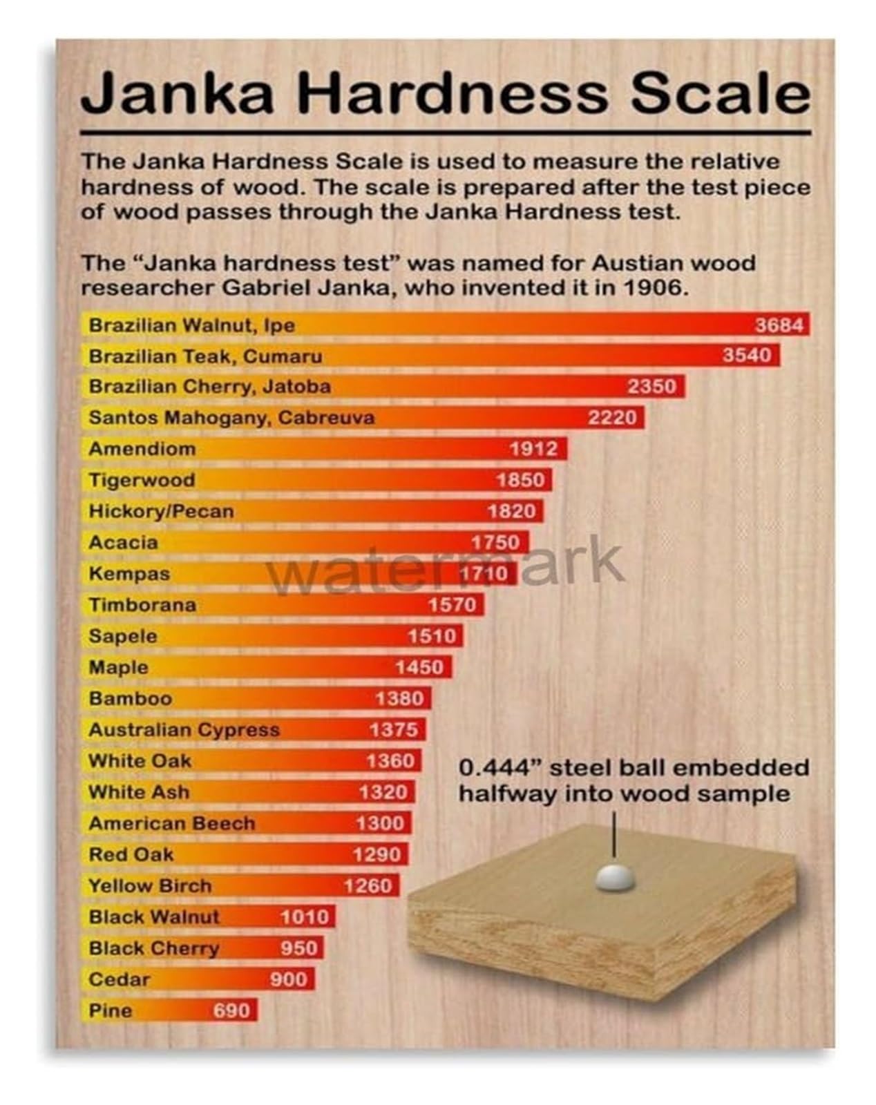 MQXFCZUX Wood Hardness Chart Guide for Carpentry and Woodworking Canvas Wall-Art Print for Workshop Unframed,12x18inch(30x45cm)