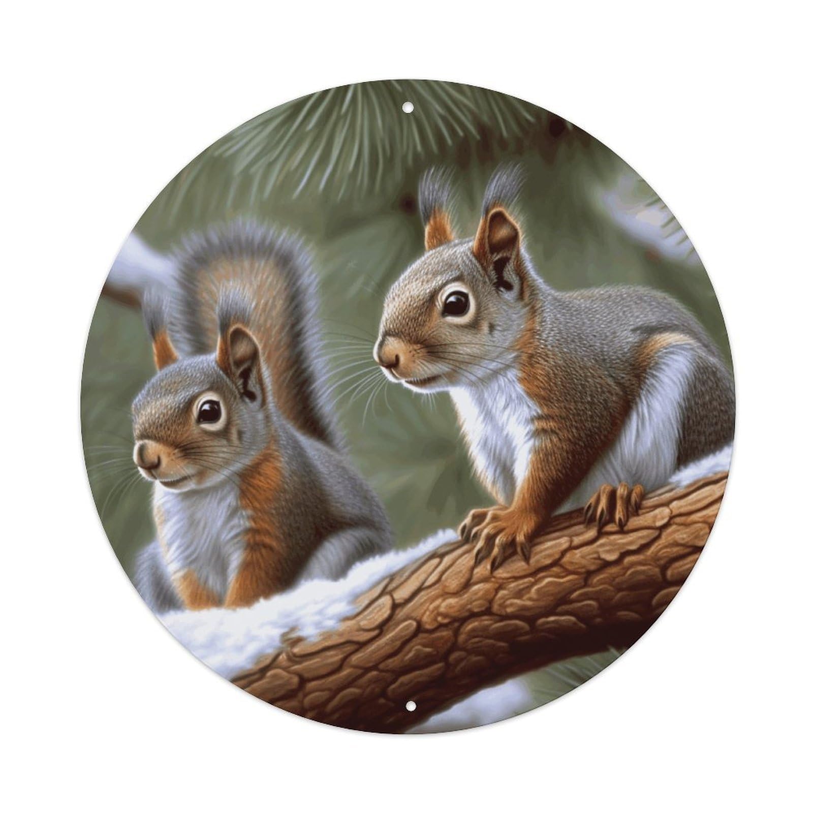 LZQPOEAS Little Squirrel Round Aluminum Wall Art Sign, Metal Indoor Wall Decor with Holes, Durable Circular Aluminum Plaque for Home, Bar, Cafe, Living Room, And Office Decoration