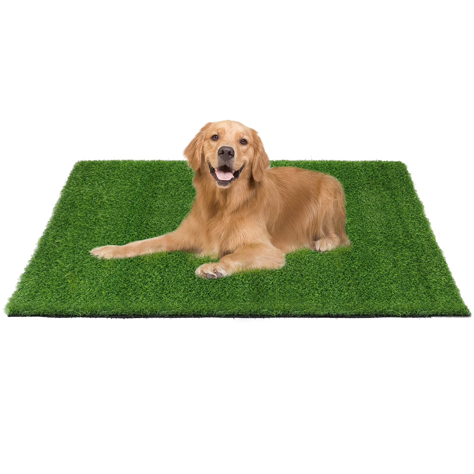 Can Dogs Poop On Turf