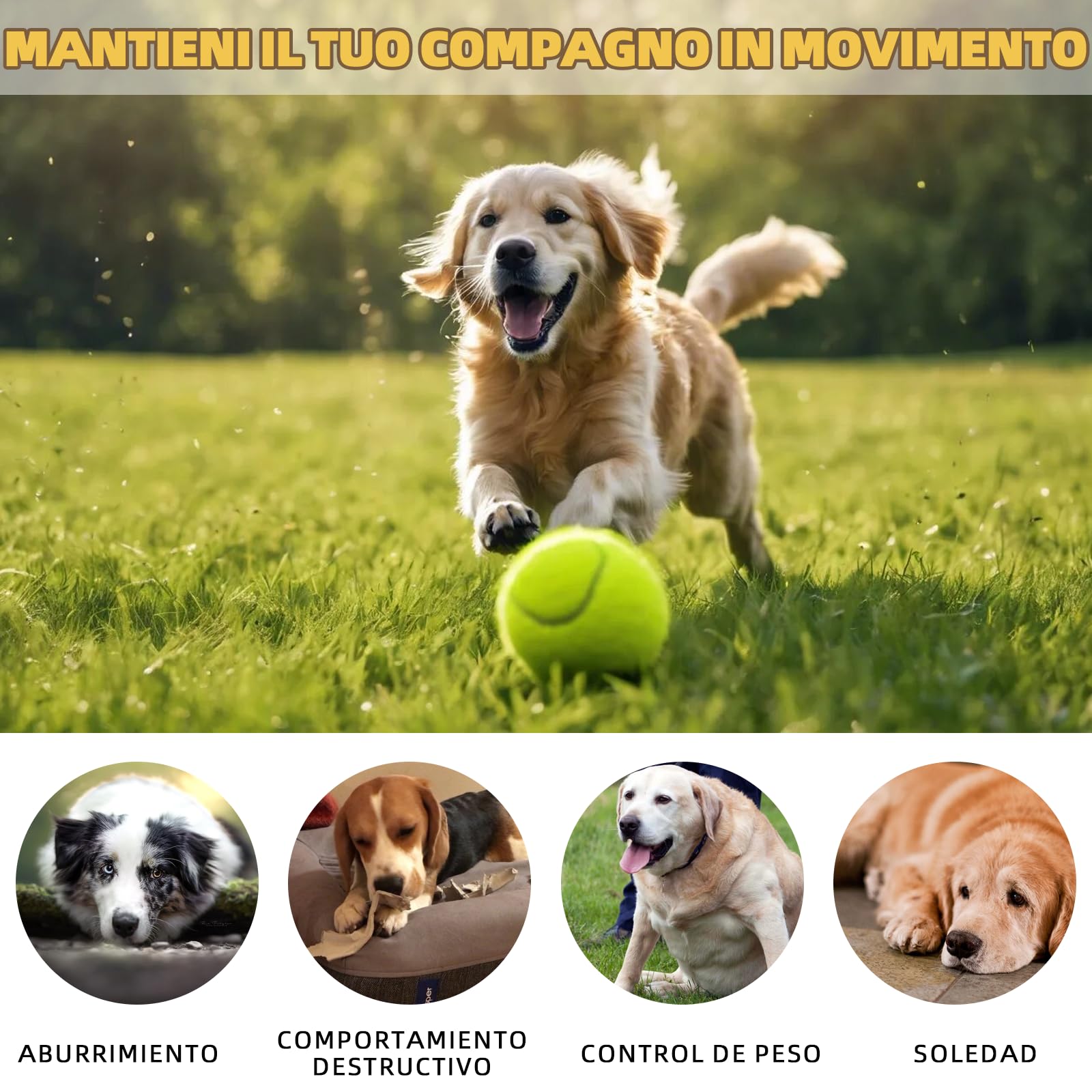 Máquina para lanzar pelotas para perros con 6 pelotas de tenis, juguete eléctrico interactivo para perros pequeños, para interior y exterior