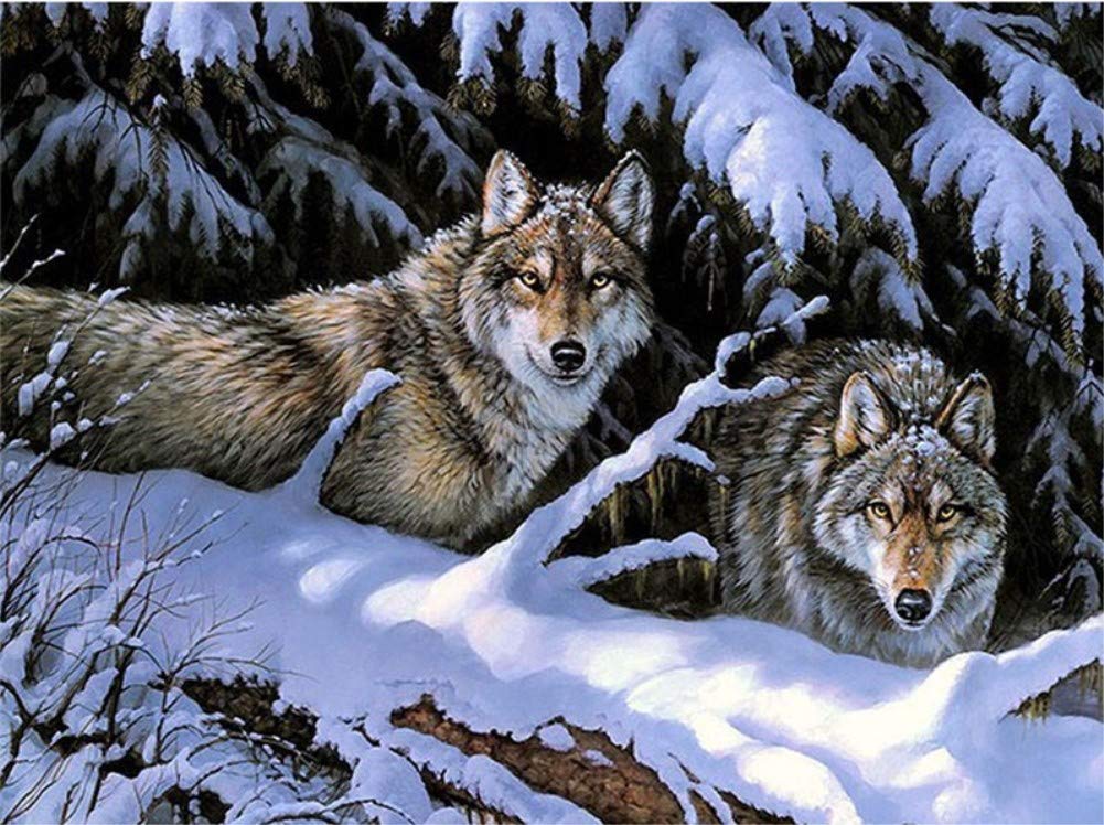 Abeuty Wolves Diy Paint By Numbers For Adults Children, Two In The Snow 16X20 Inches Number Painting Art Therapy