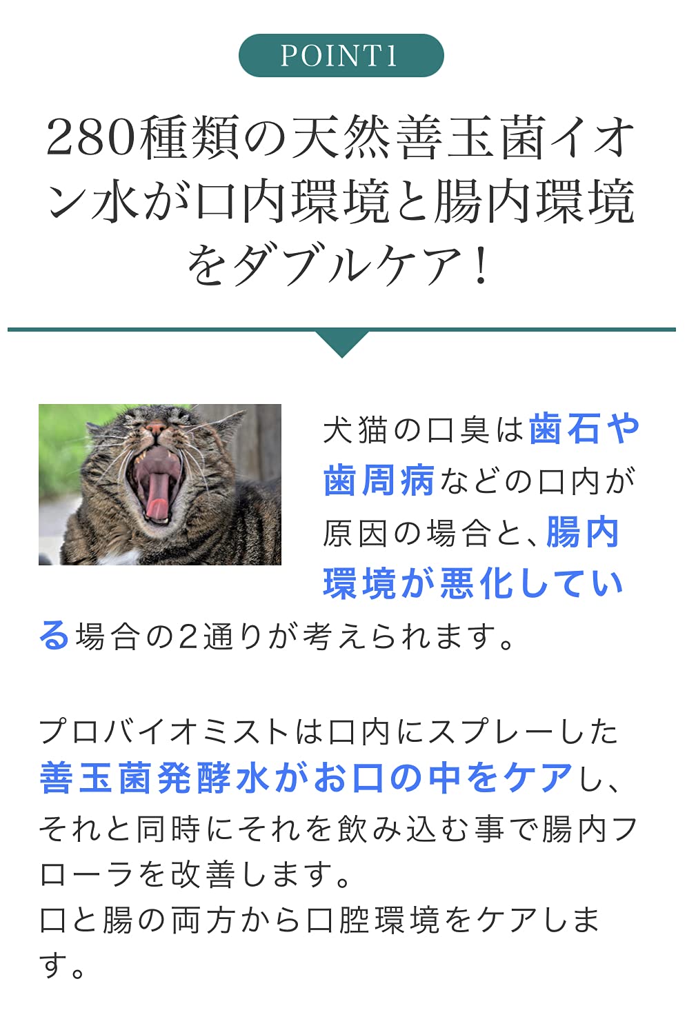 Amazon.co.jp: 犬猫の歯みがき、口臭対策に 歯石、歯周病、歯槽膿漏に
