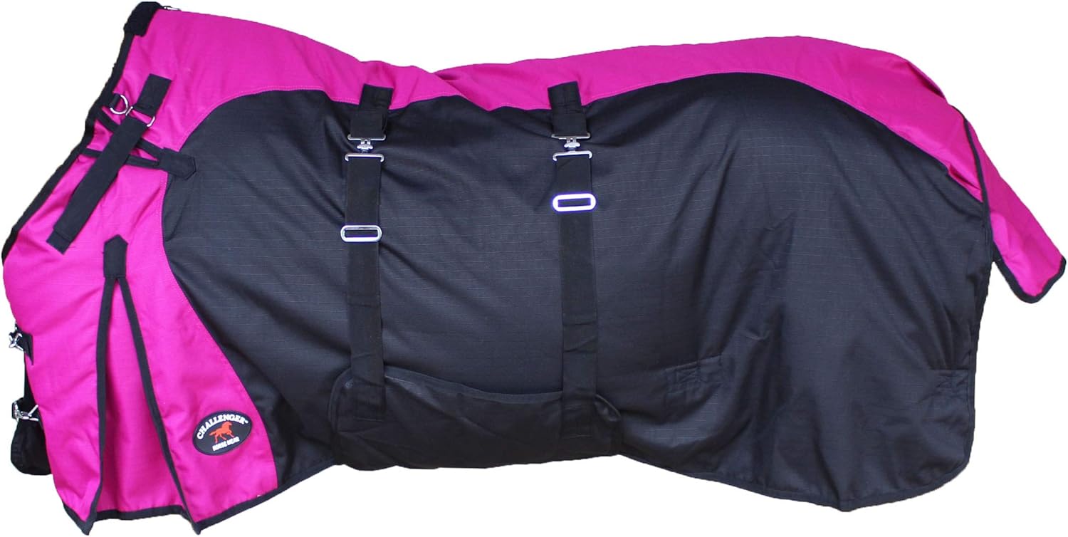 Best Heavyweight Horse Blankets (**2023 Edition**)