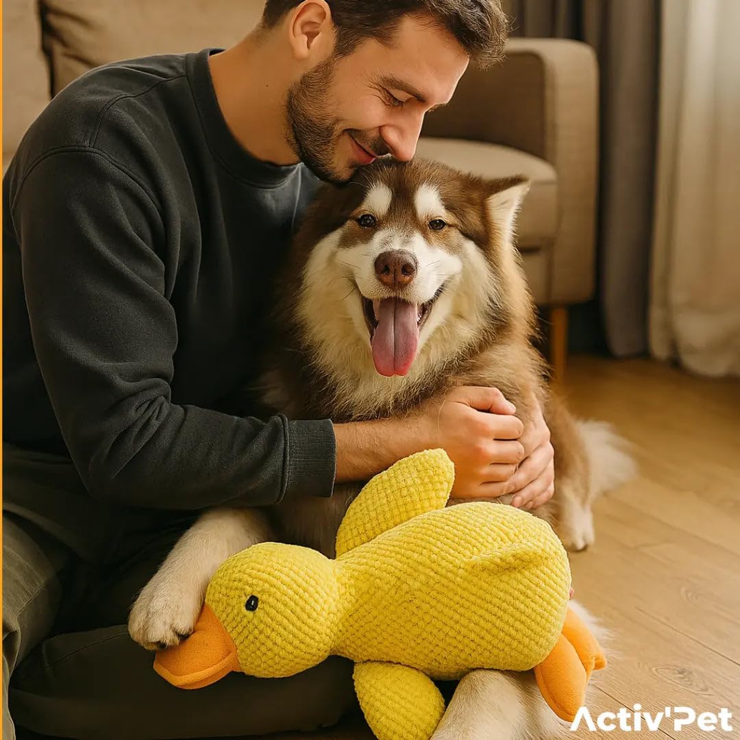 MEIION Activ'Pet Canard Anti-Stress Jouet Anti-Stress en Canard pour Chiens - Jouet interactif Qui émet des Sons - Adapté aux Petits Chiens et Chiots