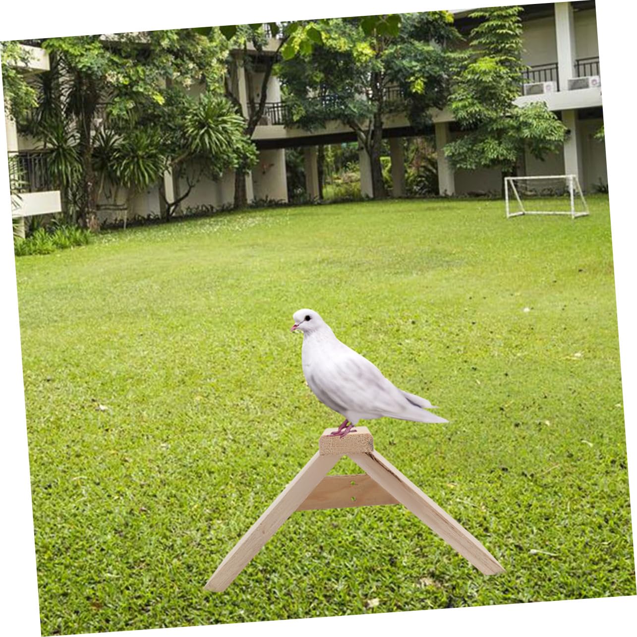 Percha de Madera para Aves y Gallinas, 5 Piezas Color Caqui | Juego para Aves, Superficie Masticable, Accesorio de Parque, Diseño Compacto para Jaula