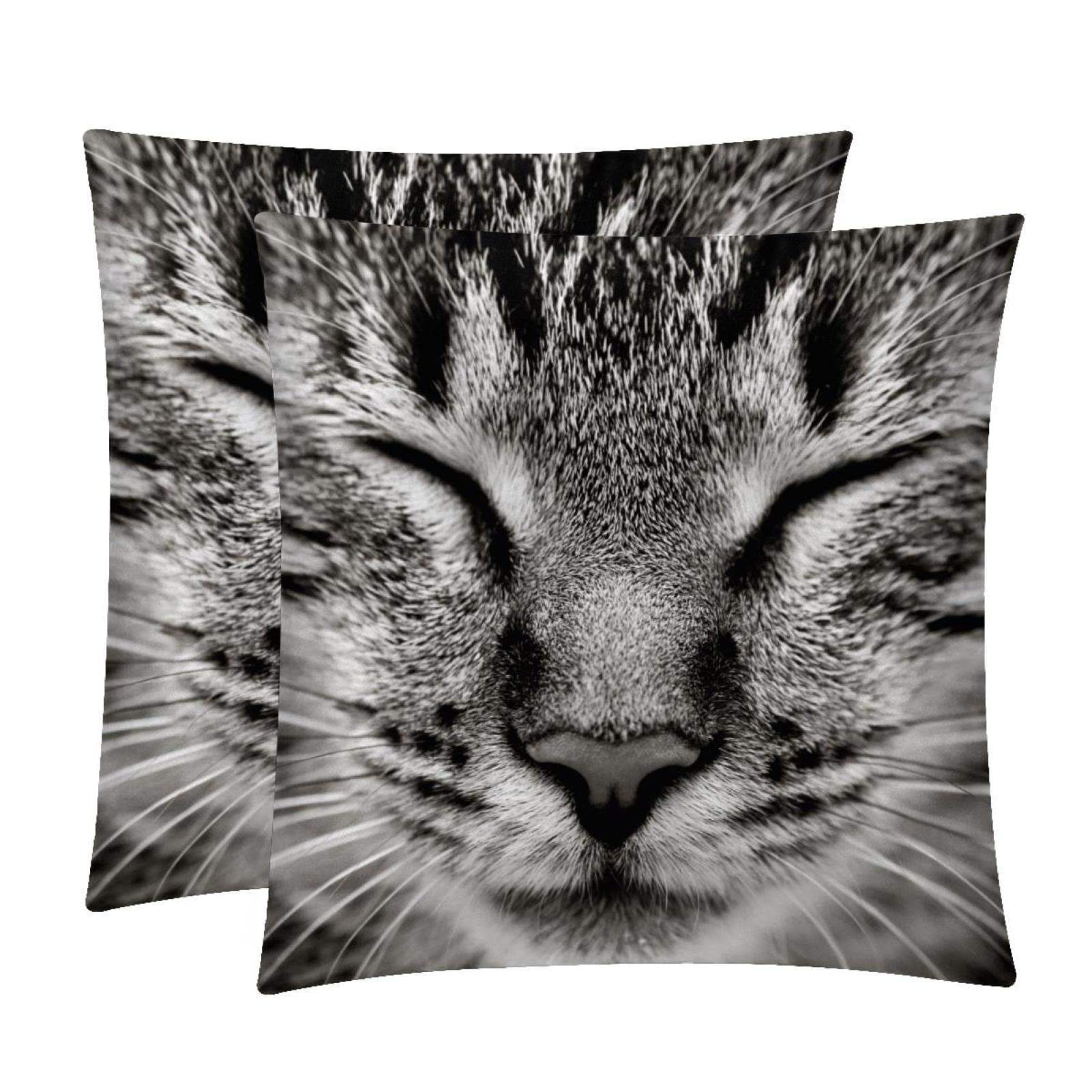 Housses de coussin lombaire chat gris au salon décor de ferme chaleureux lot de 2 TBOUOBT