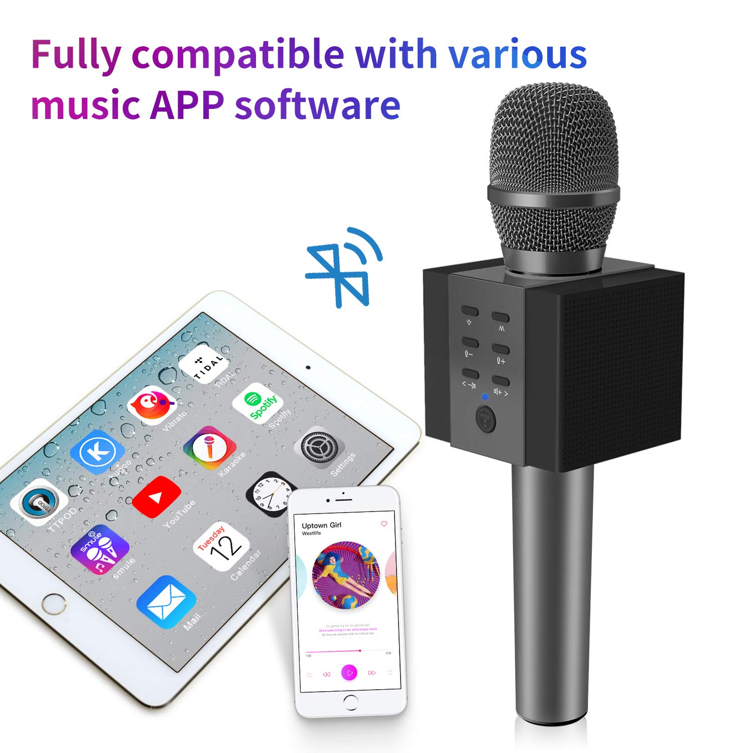 Buy TOSING 008 Wireless Bluetooth Karaoke Microphone，Louder Volume 10W