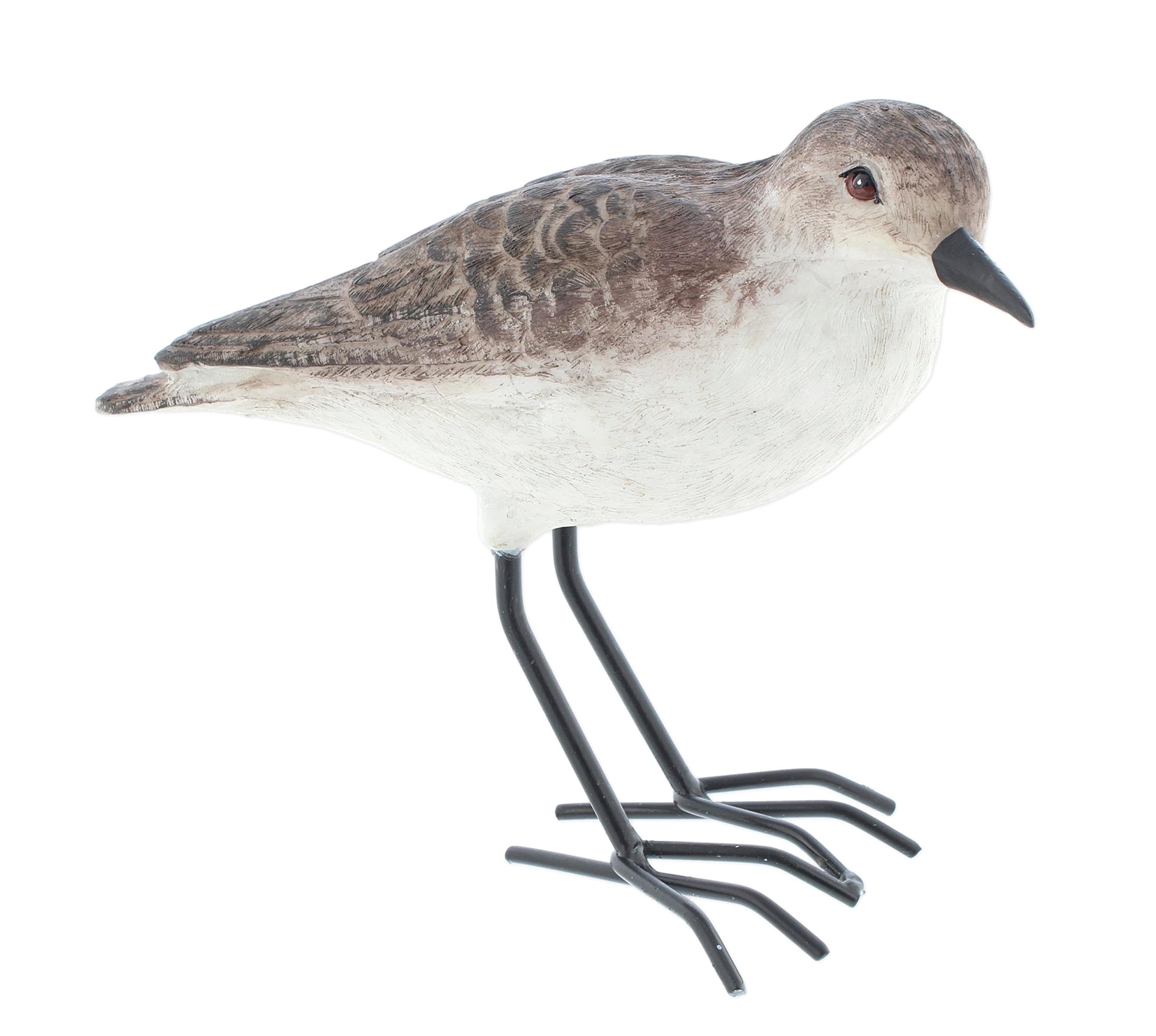 The Bridge Collection Realistic Shorebird Figure - Resin Sandpiper Bird Statue - Tabletop Beach Decor for Lake House, Coastal Decor - Oceanside Decor Accents for Home