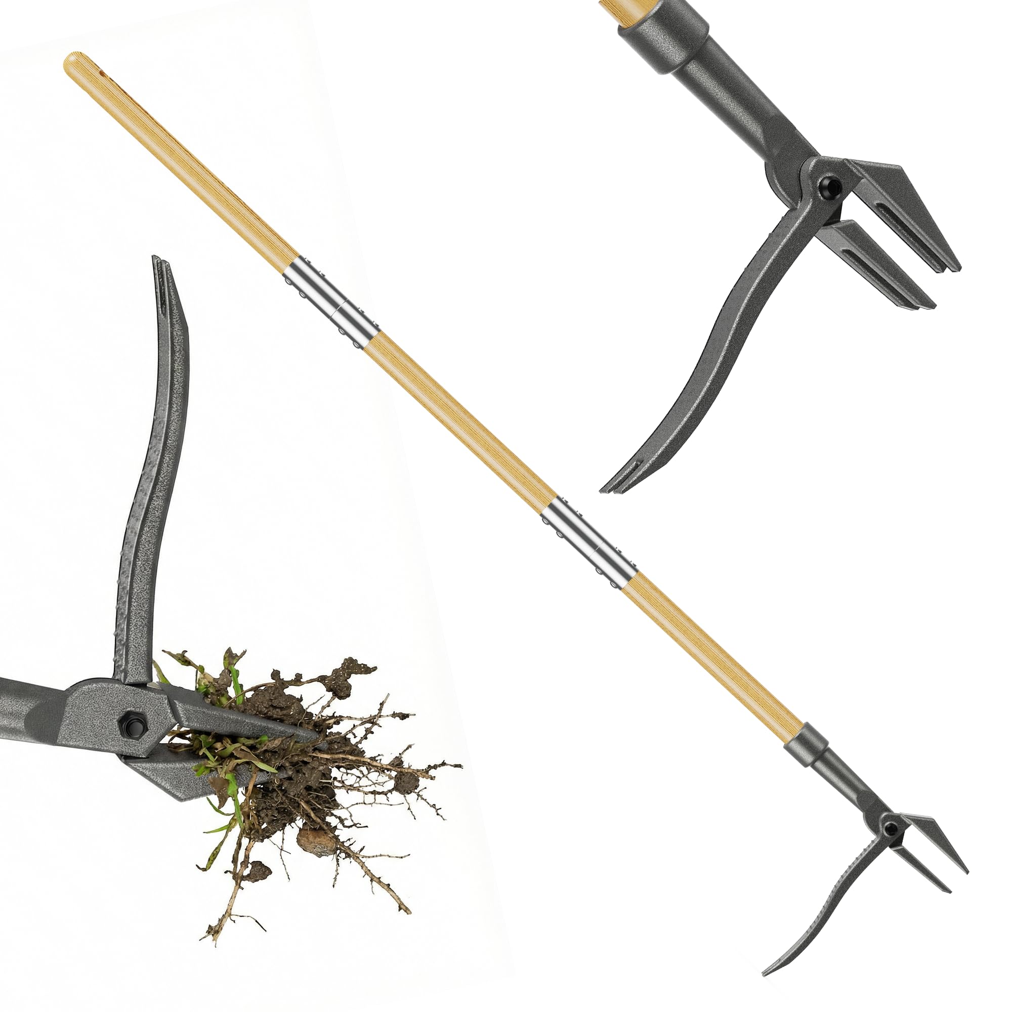 Désherbeur à long manche et pédale (110 cm), avec 2 griffes en acier inoxydable, outil de jardinage démontable, pour pissenlits et chardons dans le jardin