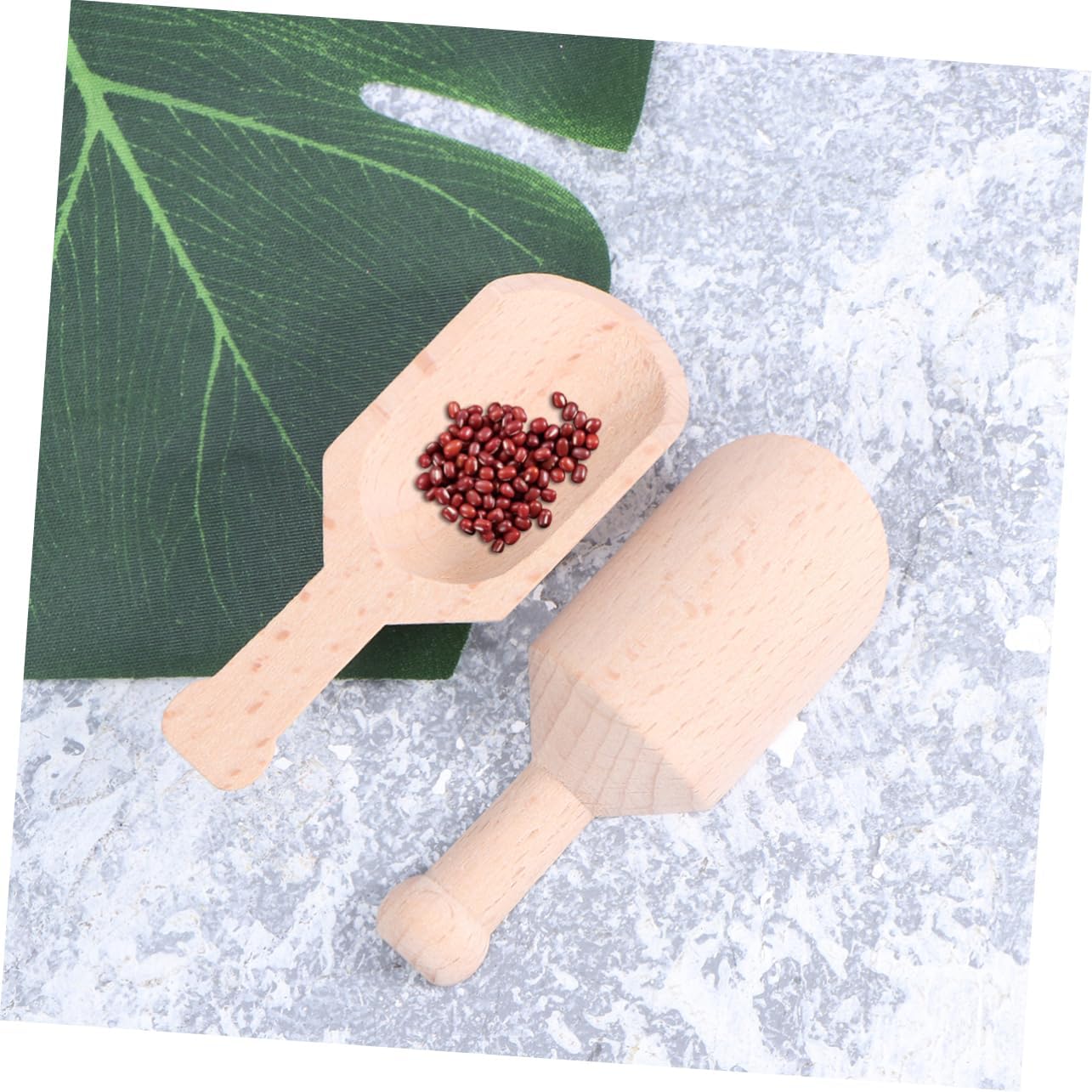 SHOWERORO Mini Spoon Tiny Shovel Spoon Mini Scoop Salt Scoop Set for Tea Shop Home