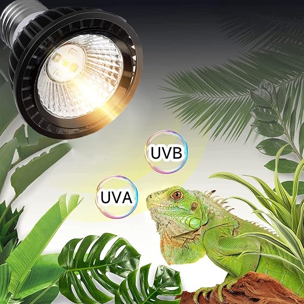 QeeHeng Lampadina Rettili 15.0 UVB UVA E27 - per Foresta Pluviale, Tartarughe, Anfibi e Serpenti - Lampada a Risparmio Energetico (UVA + UVB 15.0) - 2