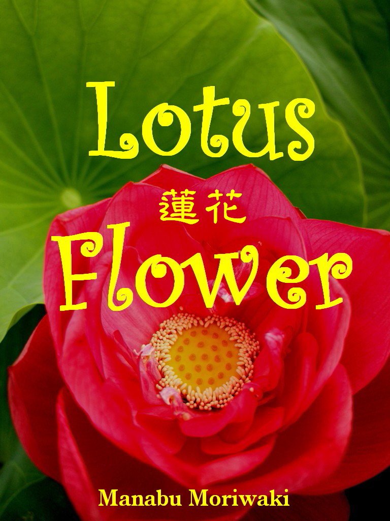Lotus Flower (Japanese Edition) eBook Manabu Moriwaki