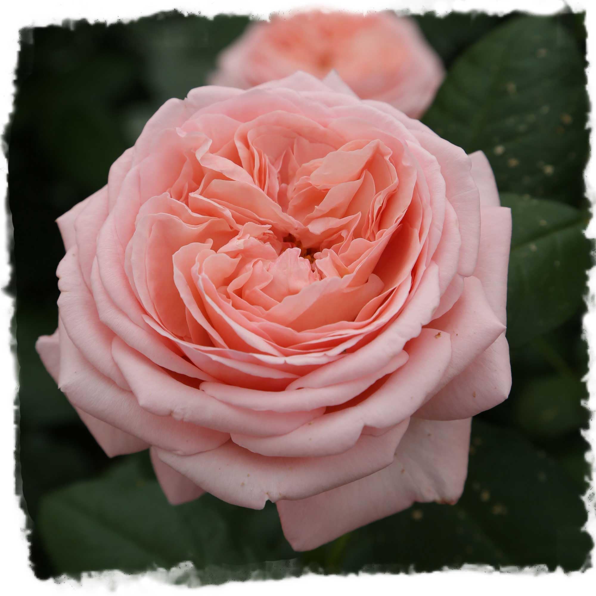 product_img5